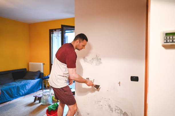 Best Basement Mold Remediation in University At Buffalo, NY